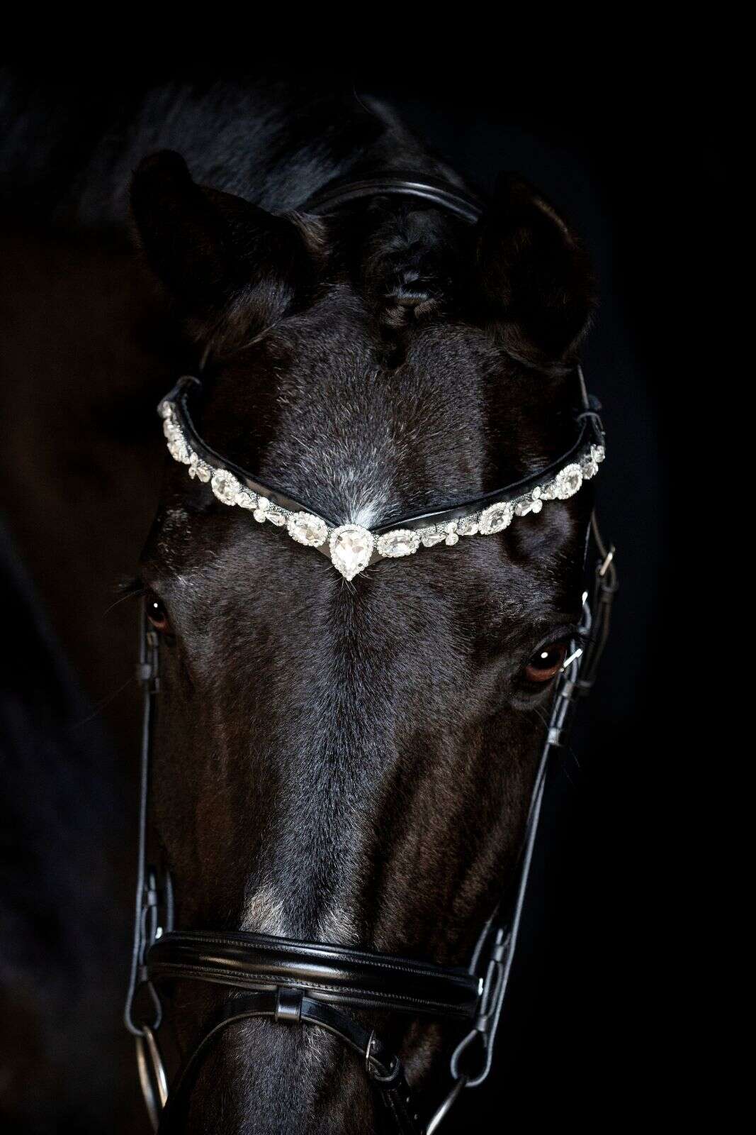 Horse Guard Sunnywale crystal browband