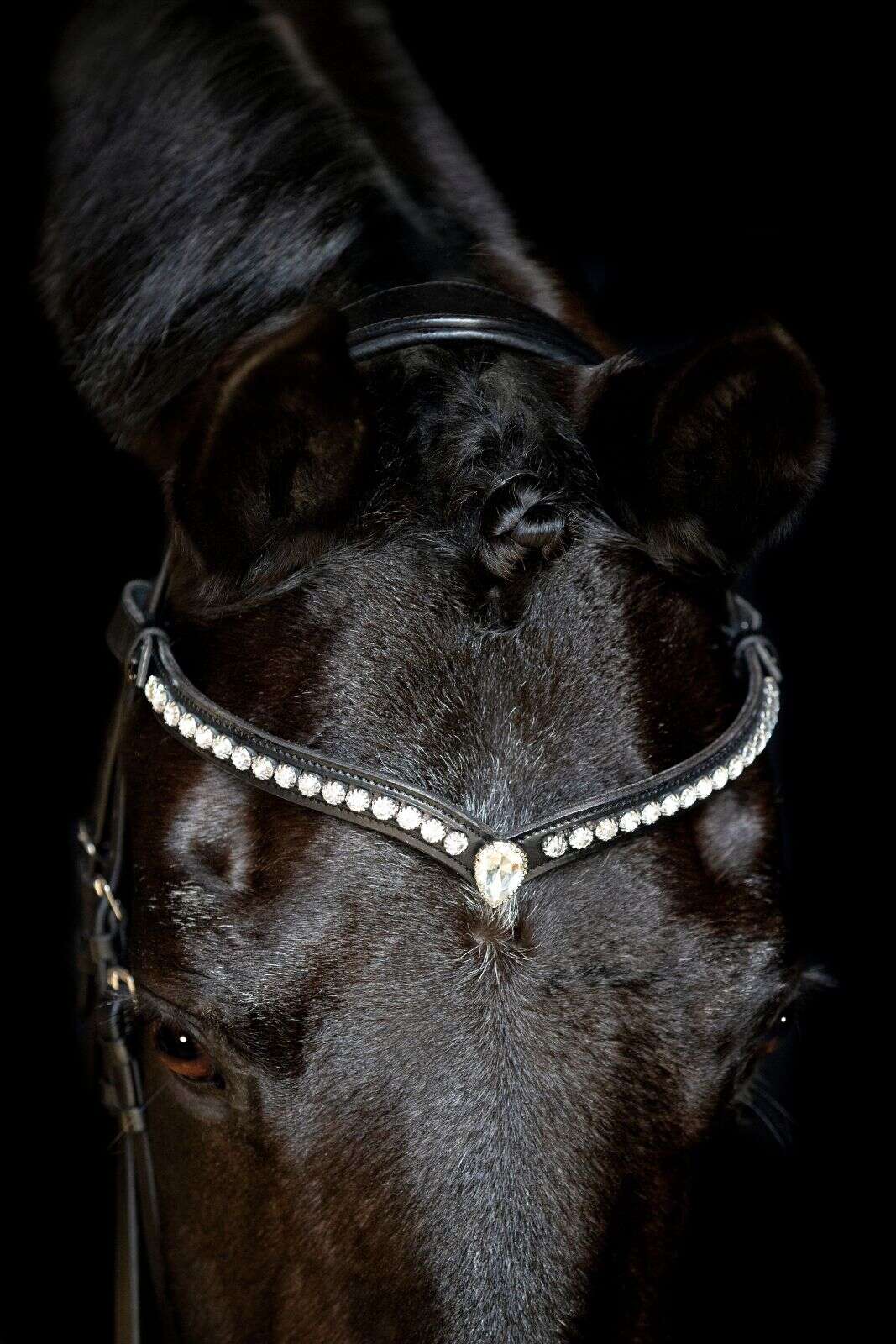 Horse Guard Palmdale V-shaped crystal browband