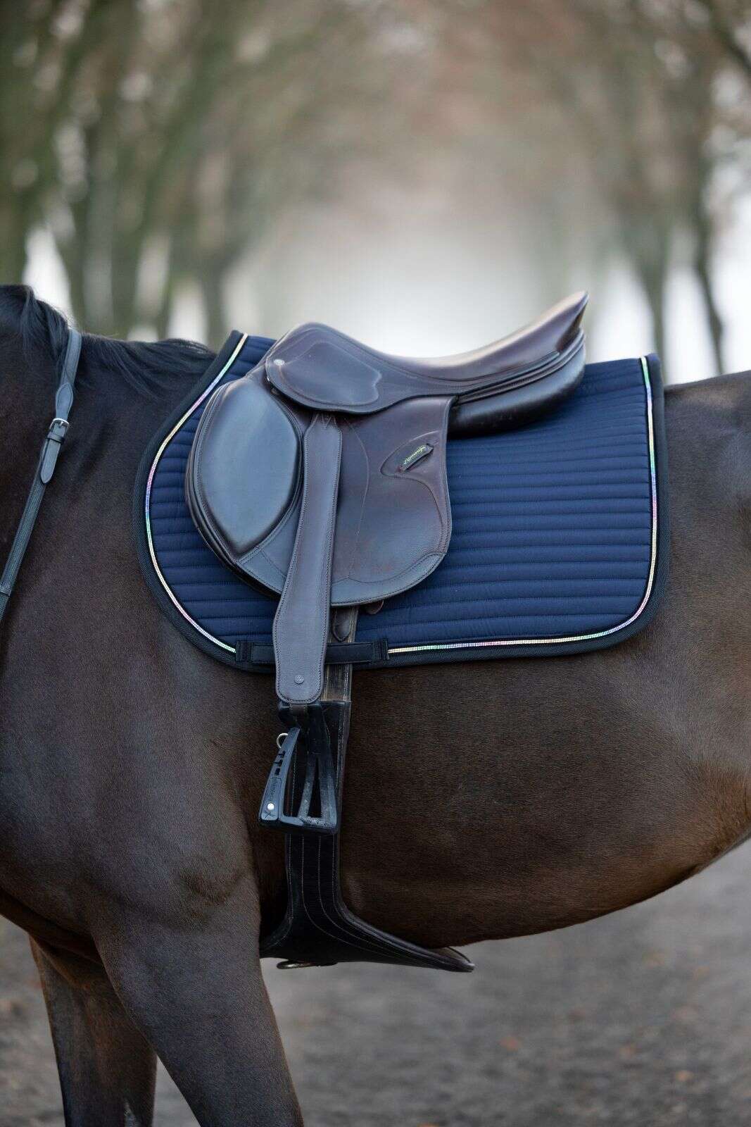 Horse Guard Bellingham allroundschabrak