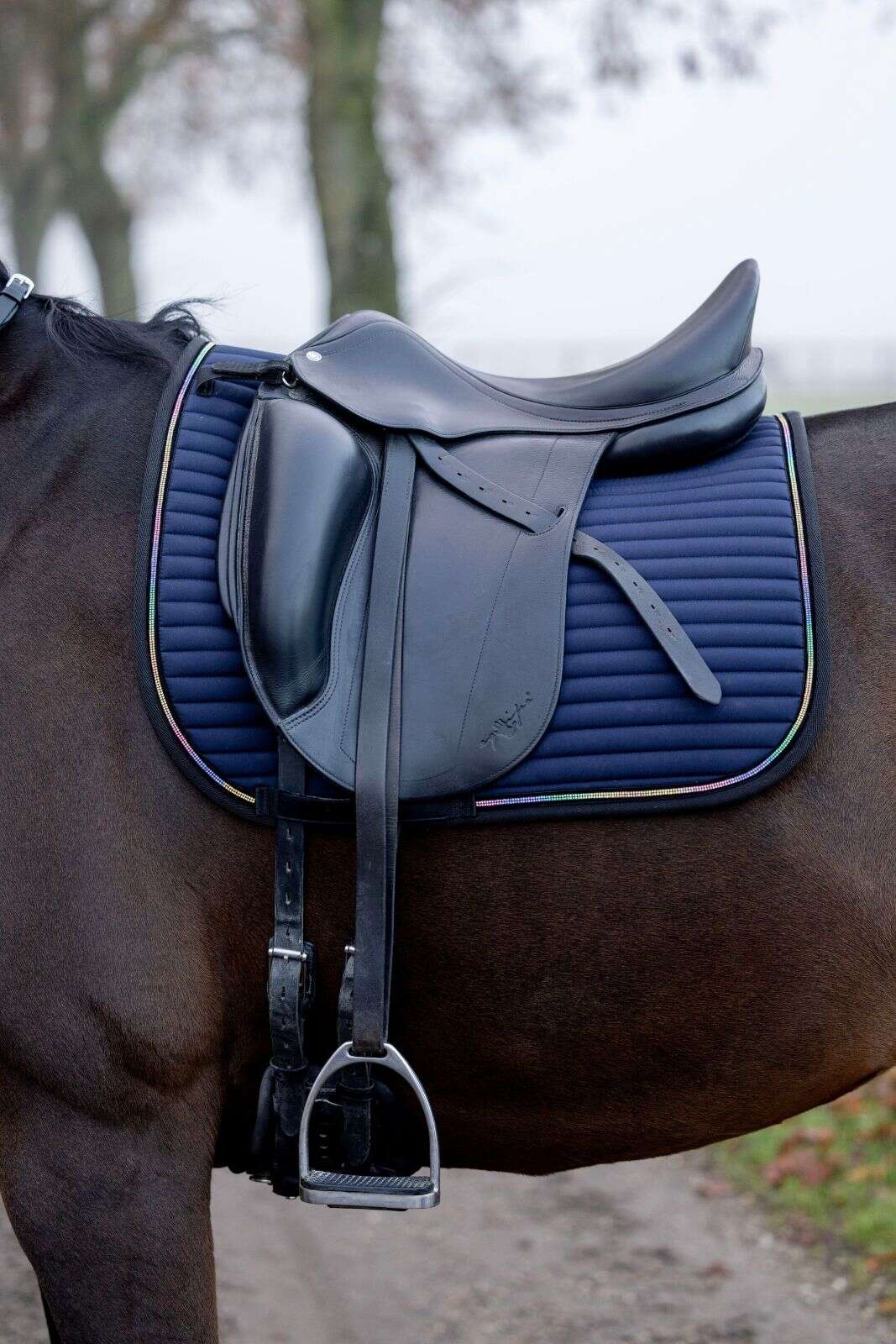 Horse Guard Bellingham-Schabrak, dressyr