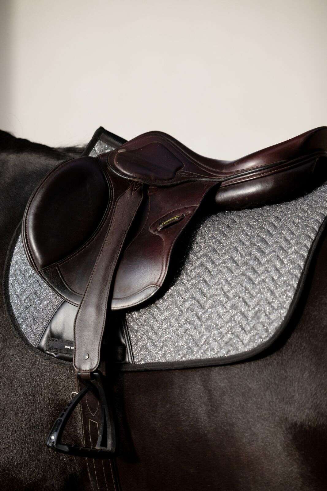 Horse Guard Bellingham allround schabrak