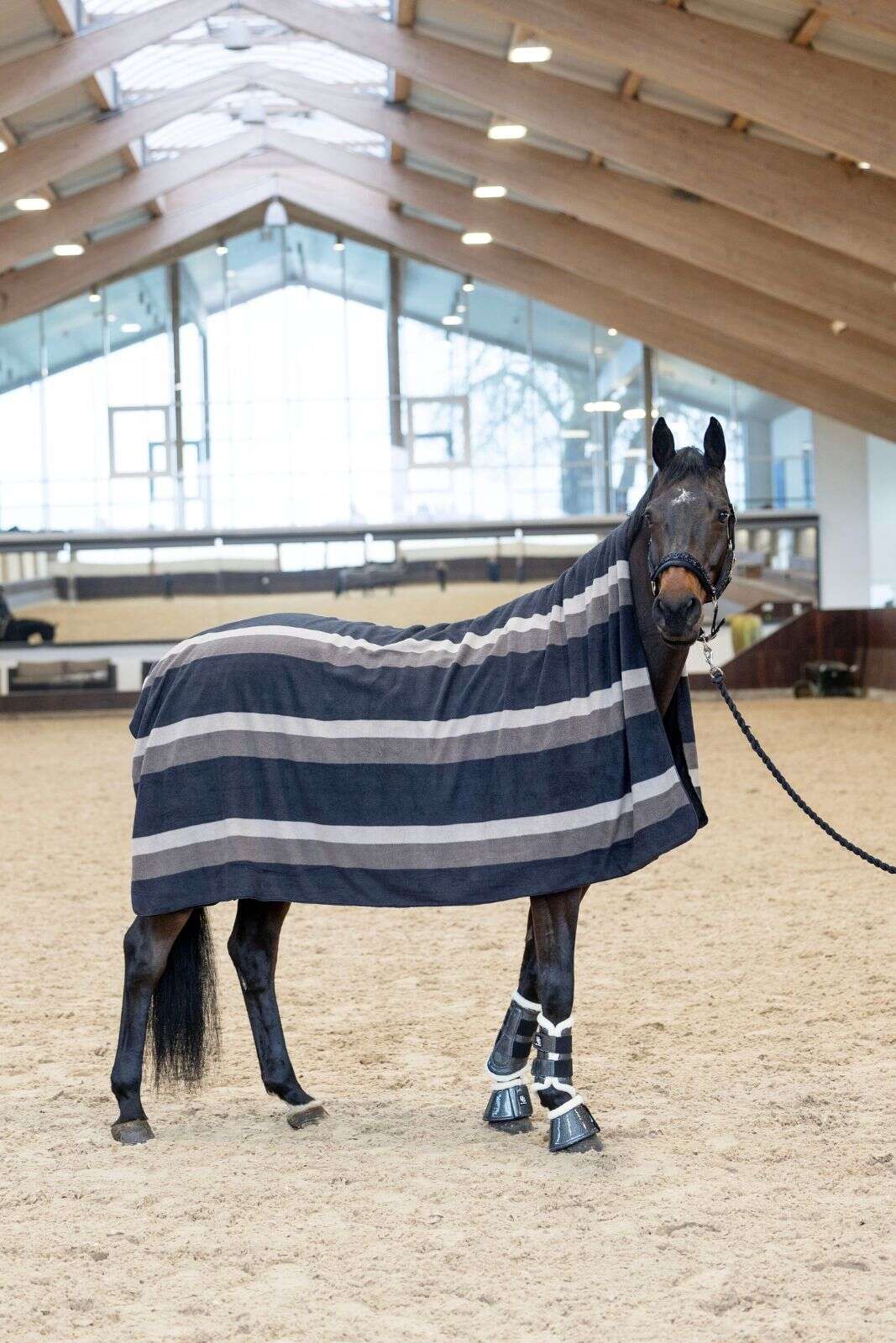 Horse Guard Squared-tæppe