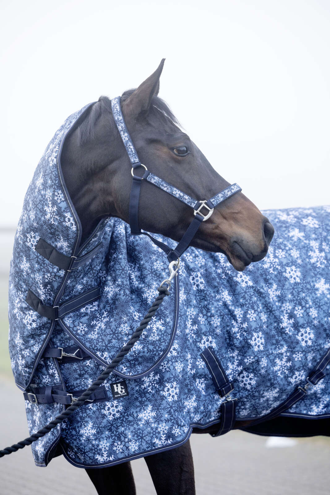 Horse Guard Snowflake 1200D-dekken, 200 g, avtakbar hals