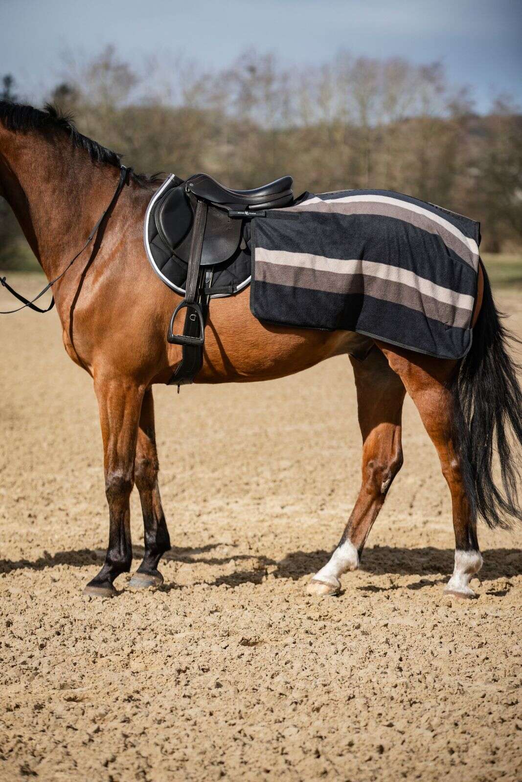 Horse Guard Lewisville-ländtäcke