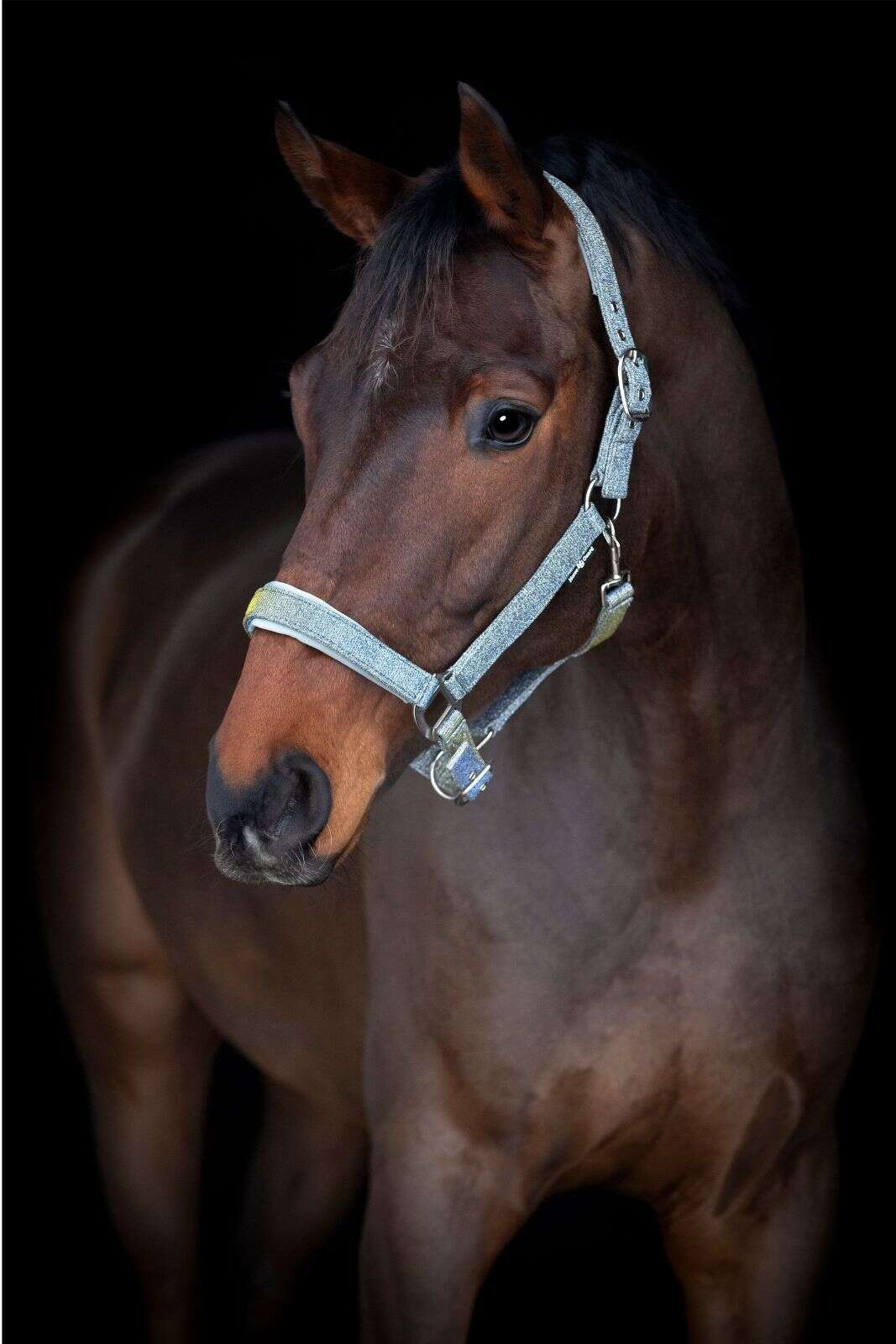 Horse Guard Iowa färgskiftande glittergrimma