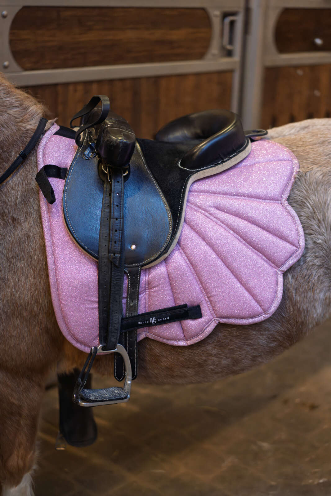 Horse Guard Wing allroundschabrak