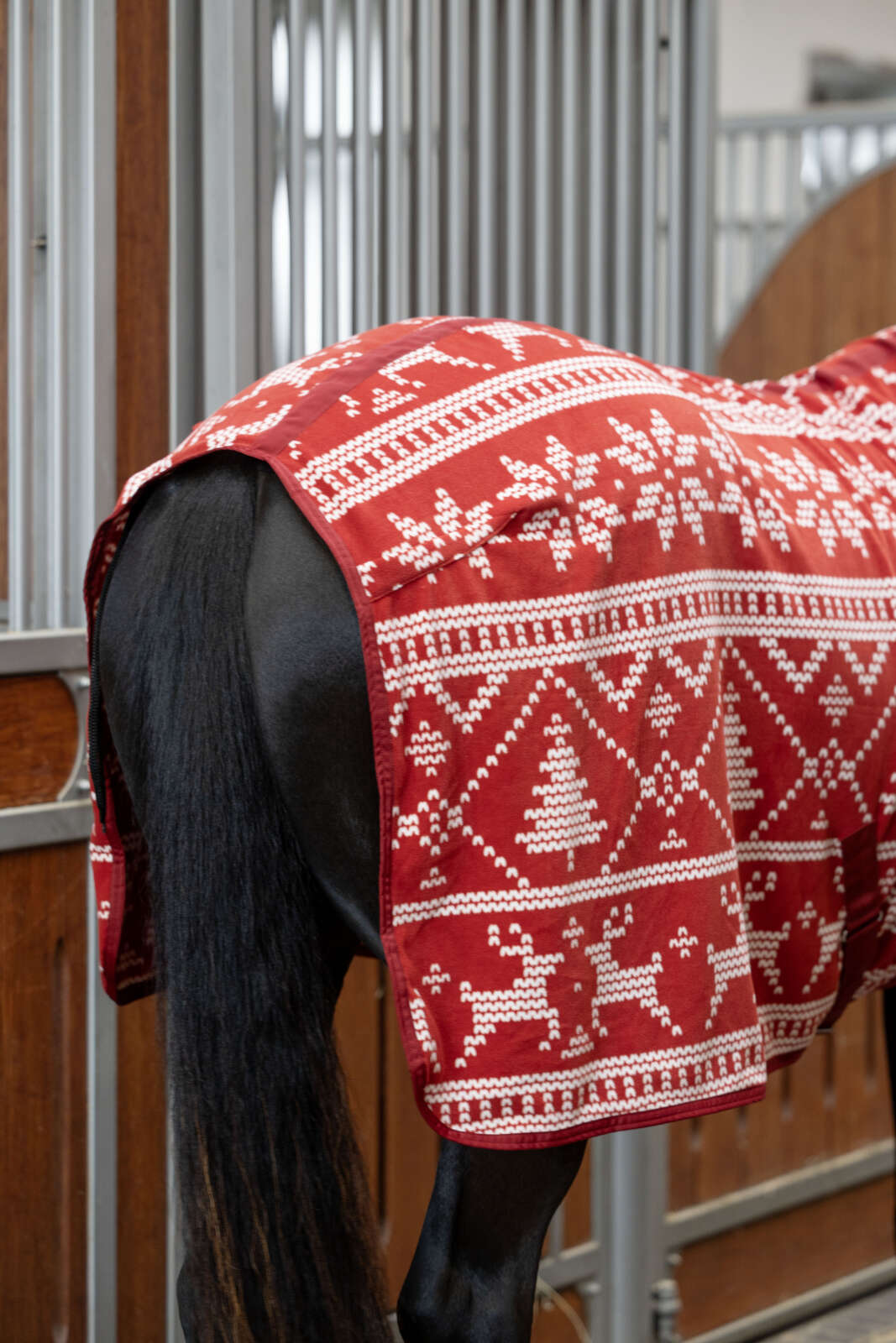 Horse Guard Christmas fleecetäcke