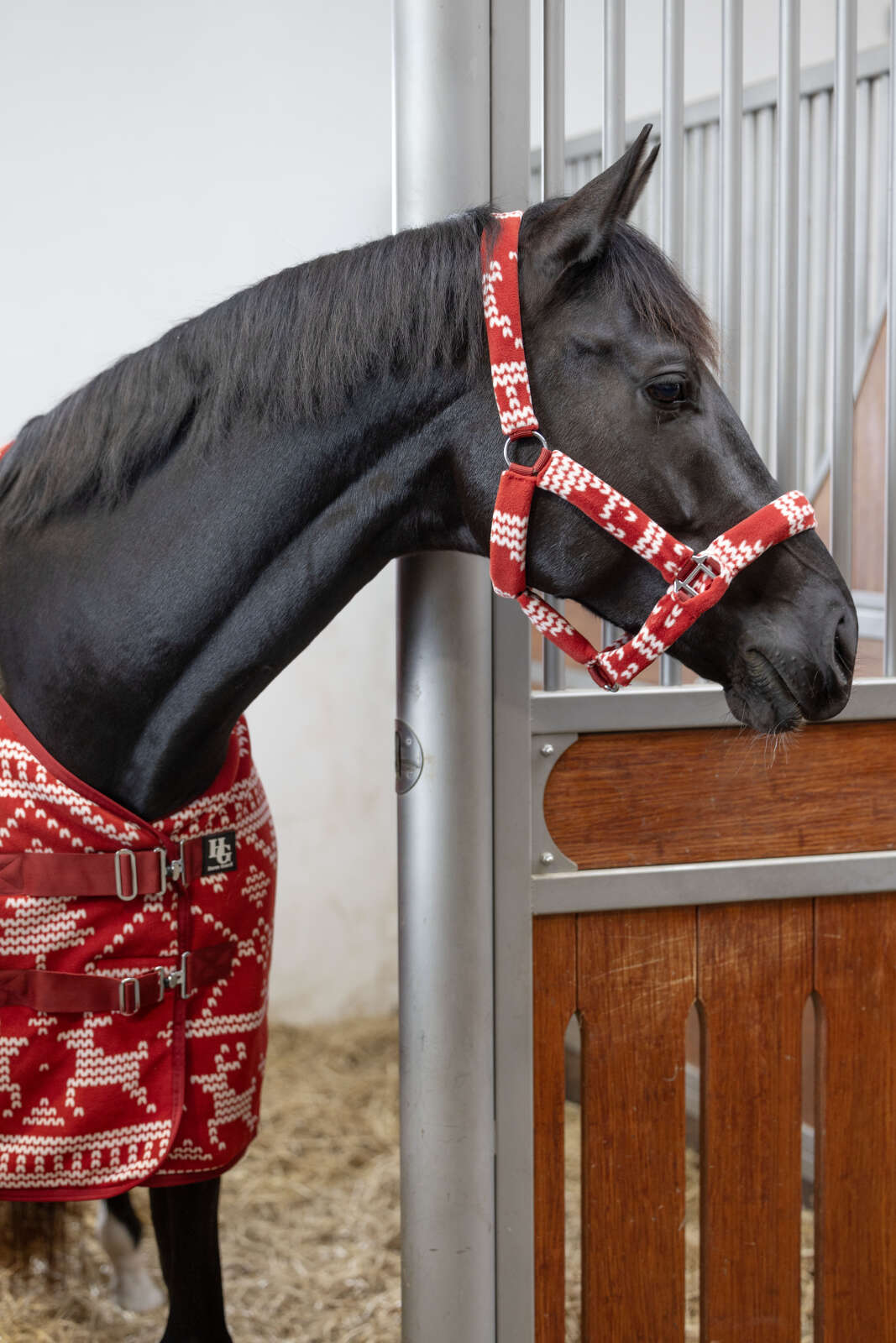 Horse Guard Christmas grimma