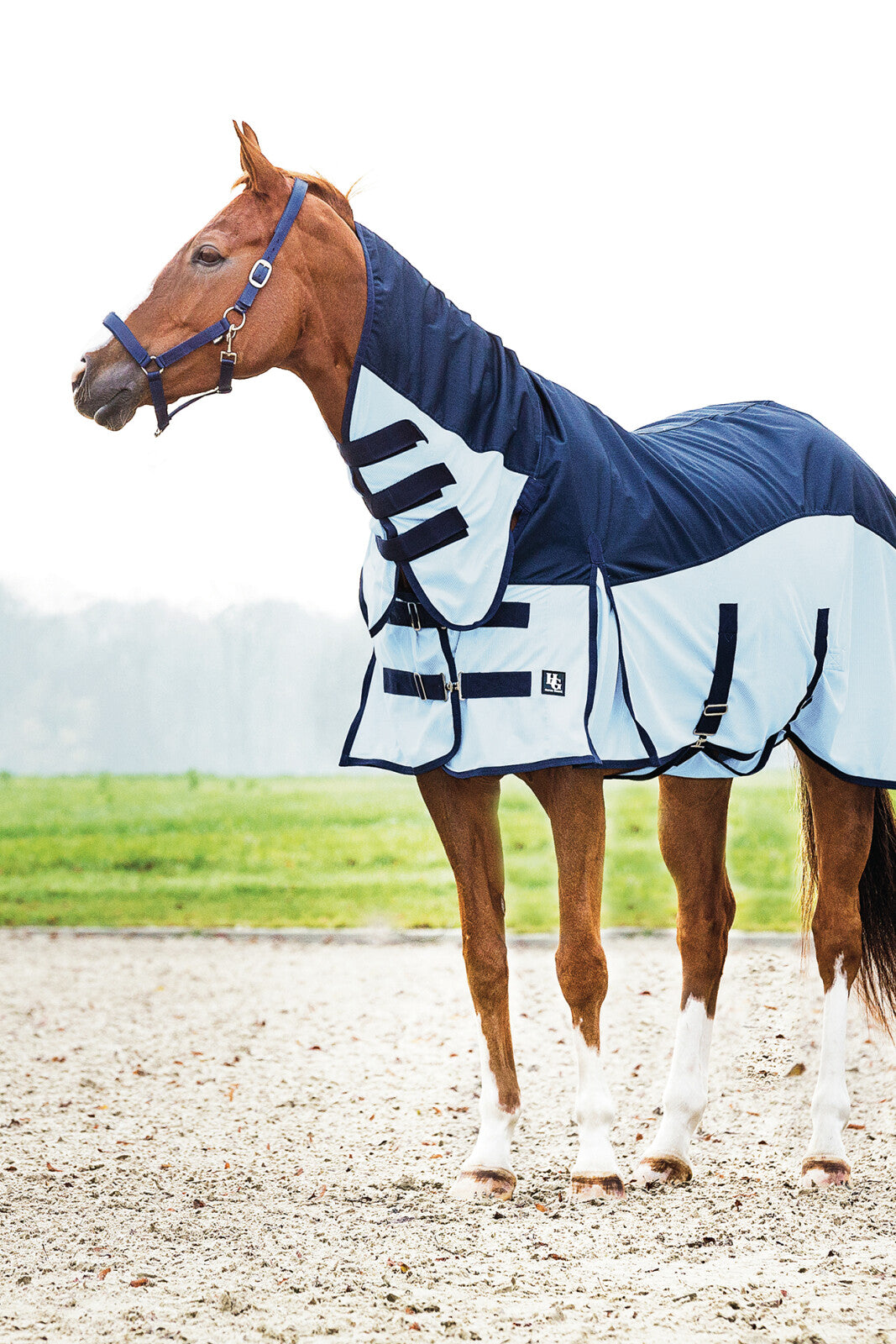 HorseGuard Aiman Regen- und Insektendecke