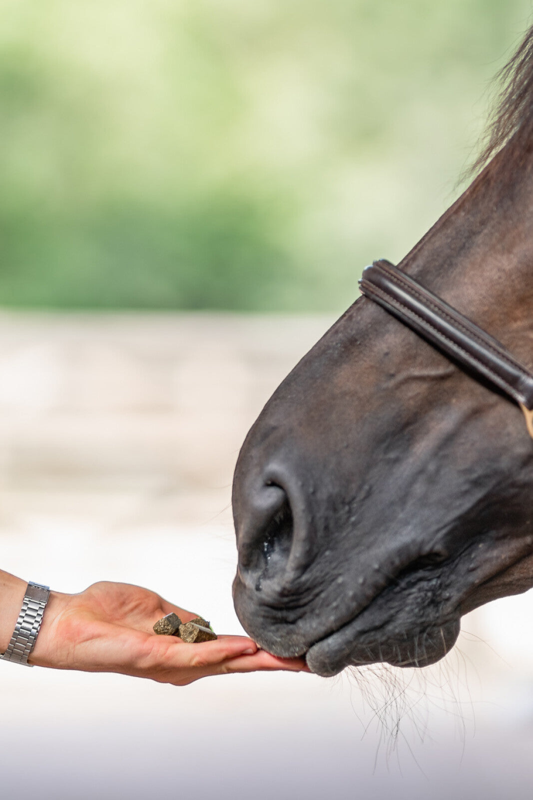 Happies hestesnacks hyben & hørfrø, 1 kg