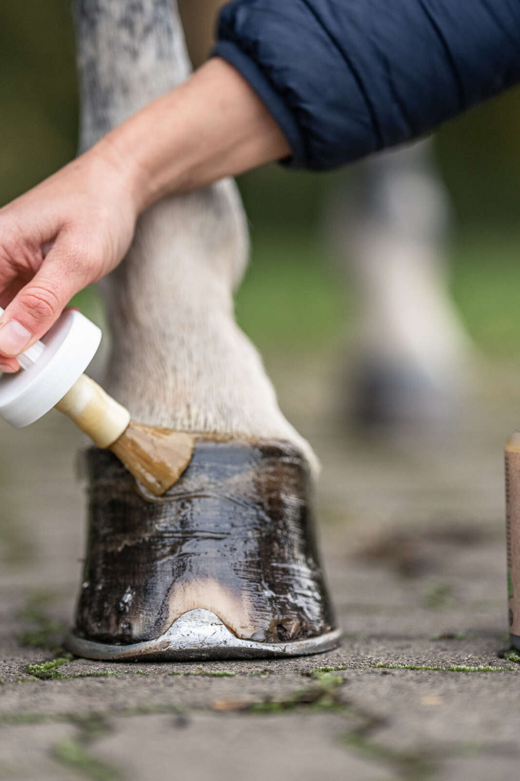 Bense & Eicke Bayberry booster hoof oil