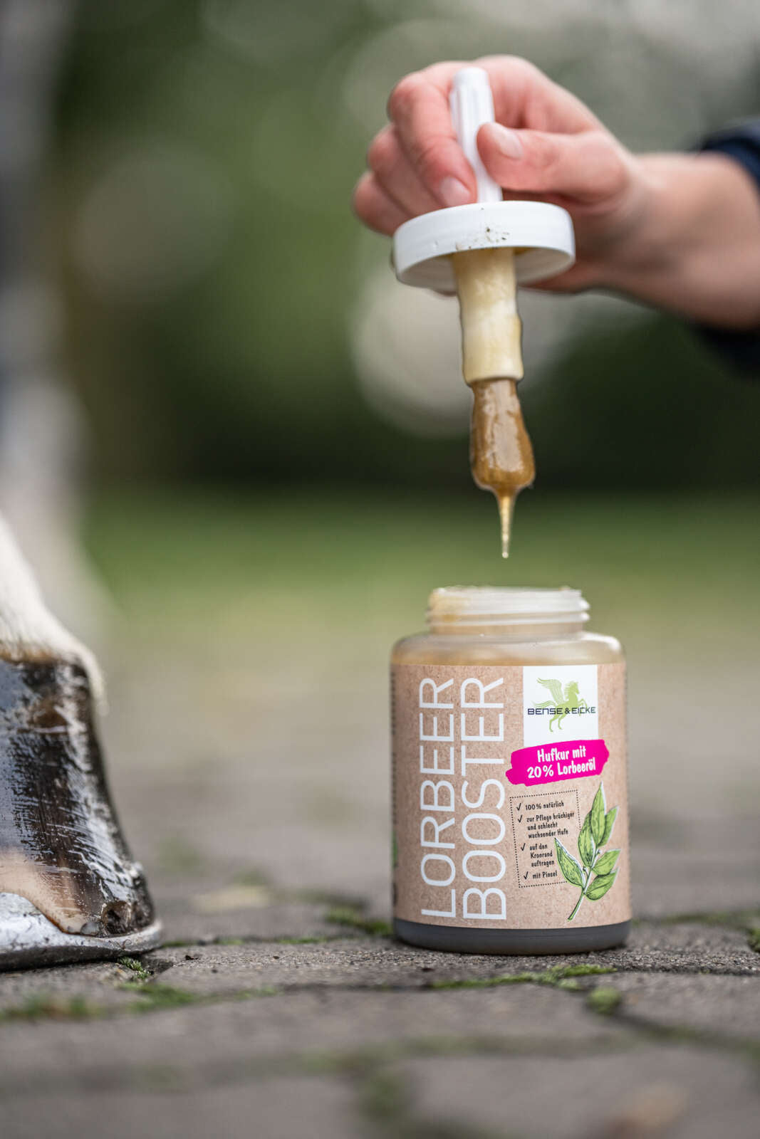 Bense & Eicke Bayberry booster hoof oil