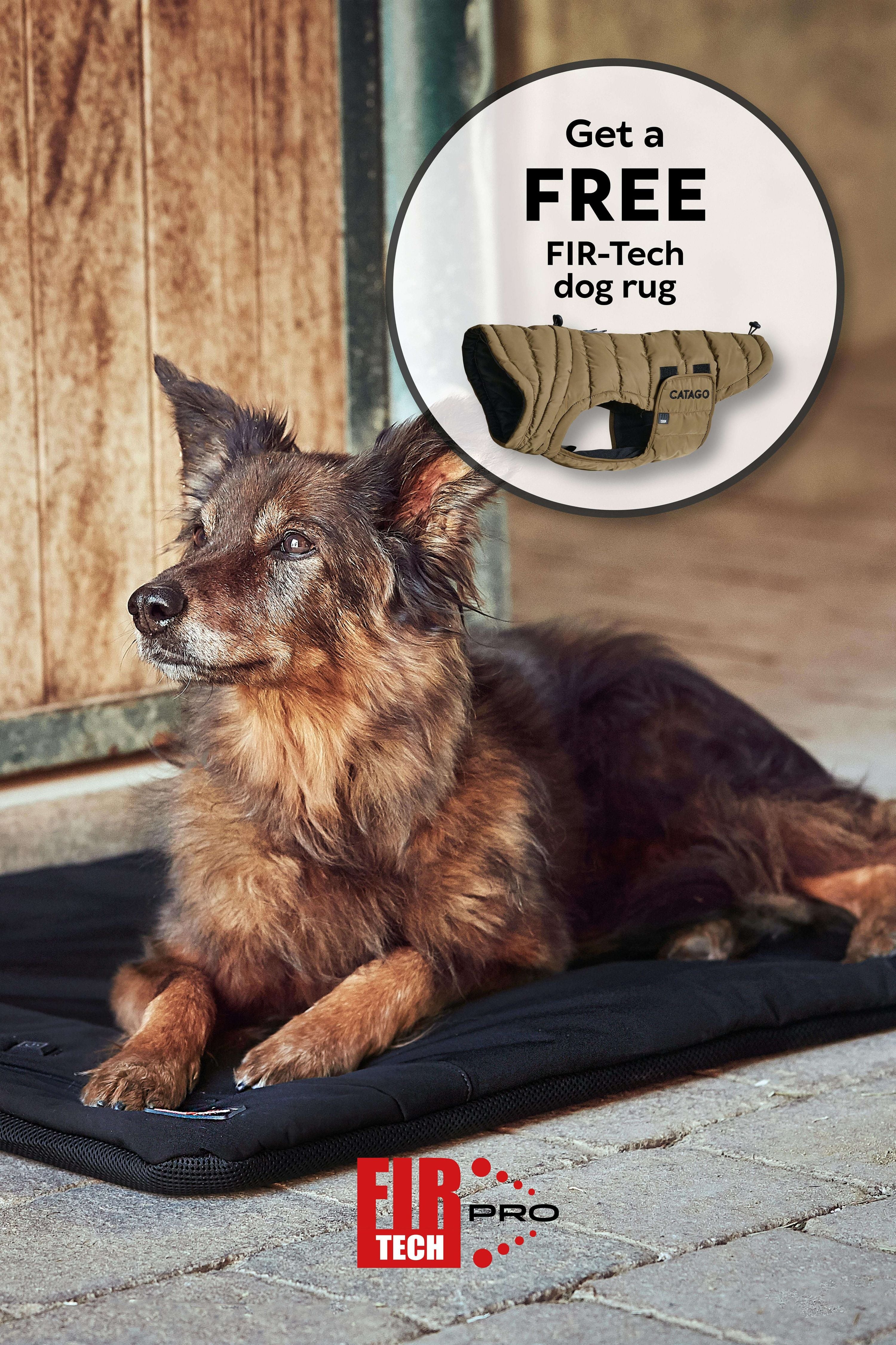 Catago FIR-Tech Pro heated dog pillow + FREE dog rug