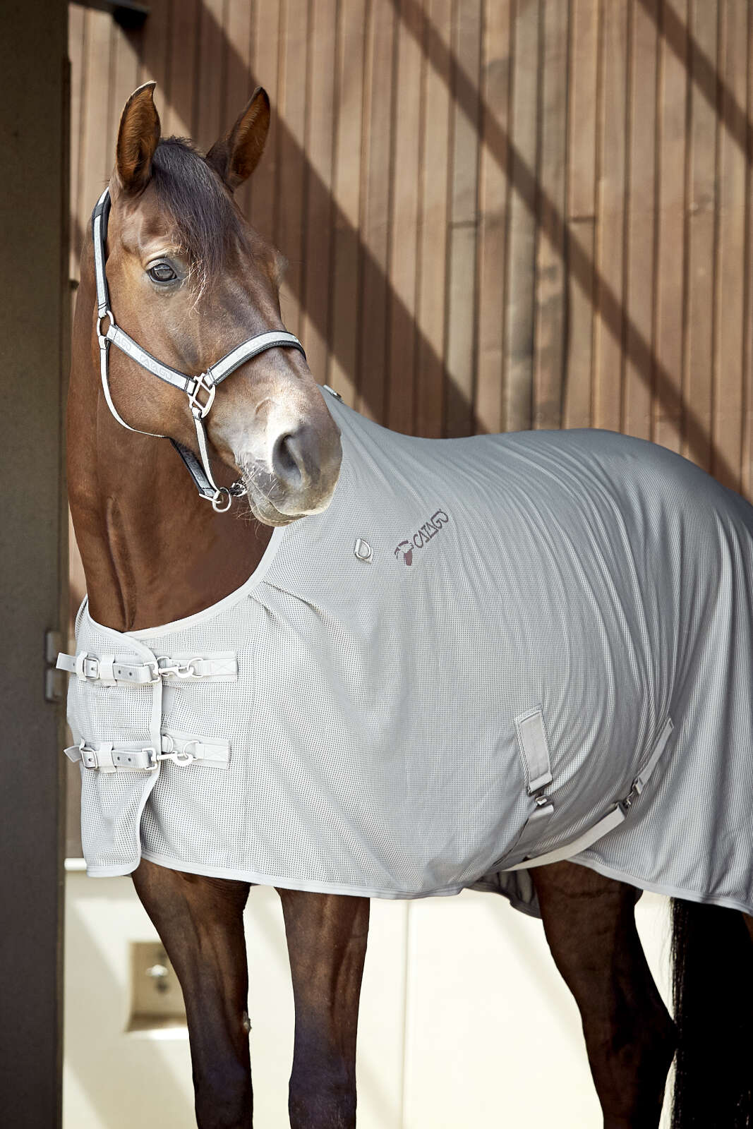 CATAGO Bamboo summer rug