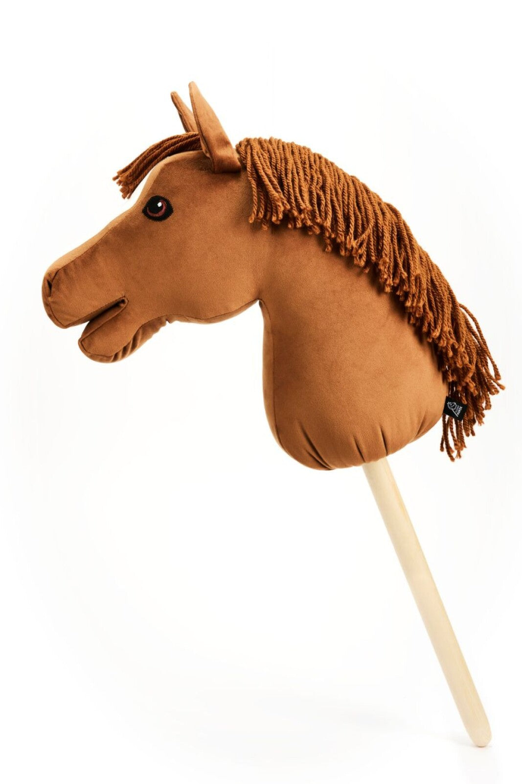 My Hobby Horse Kæphest Caristo