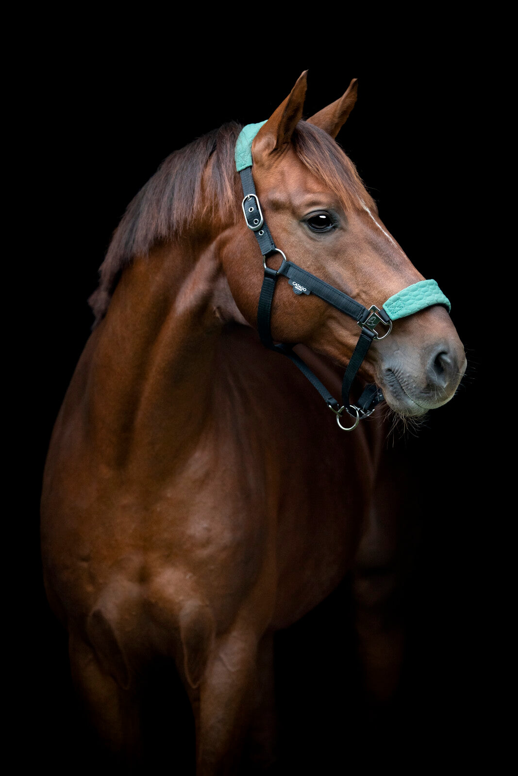 CATAGO FIR-Tech Grand halter