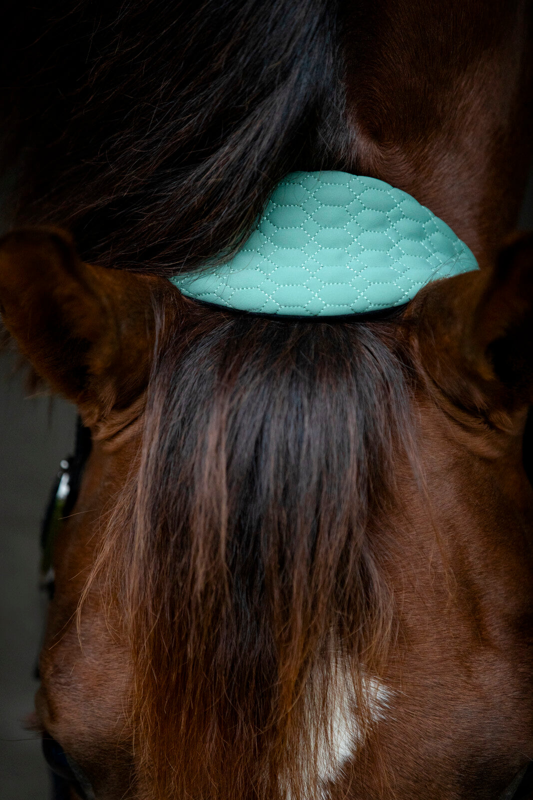 CATAGO FIR-Tech Grand halter