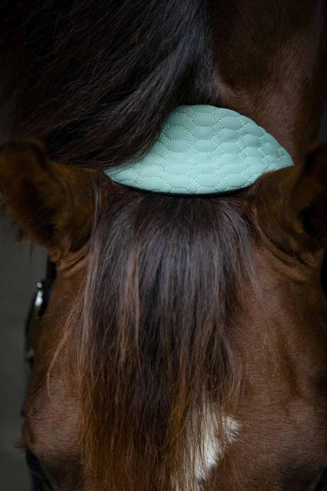 Catago FIR-Tech Grand grime