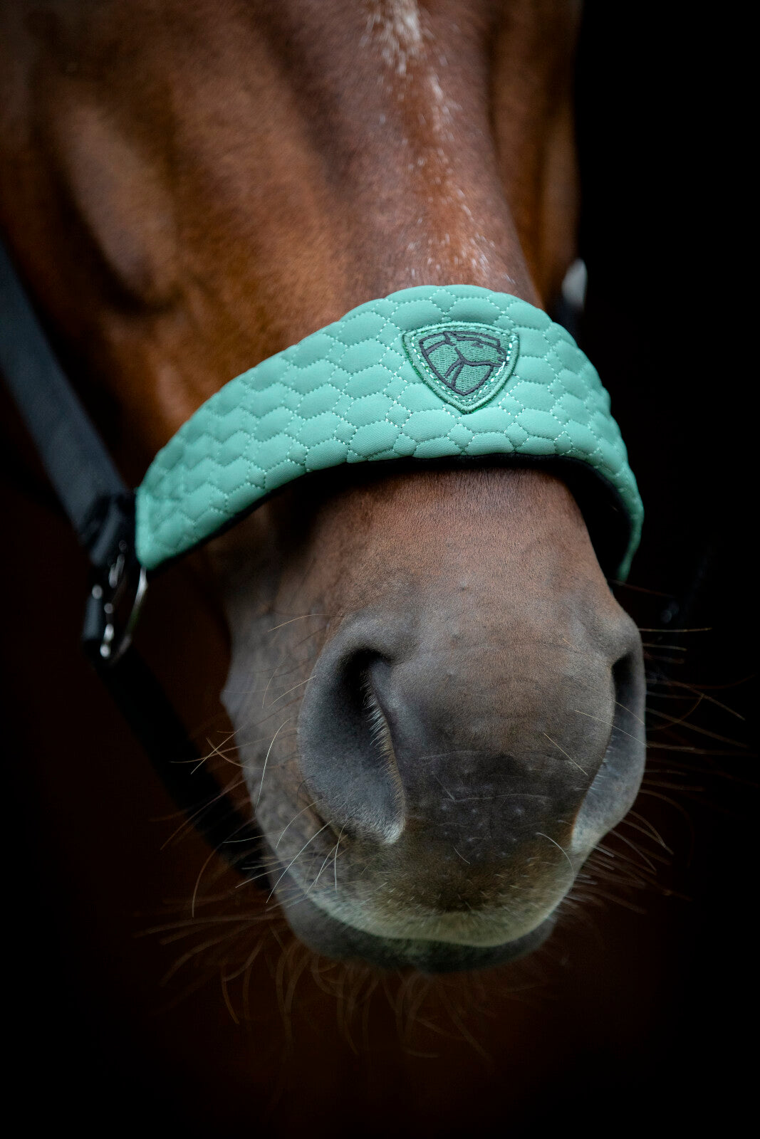CATAGO FIR-Tech Grand halter