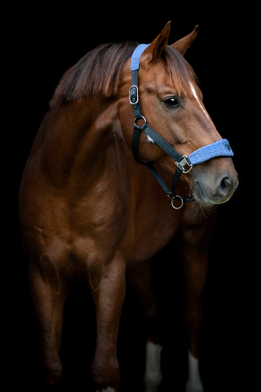 CATAGO FIR-Tech Grand halter