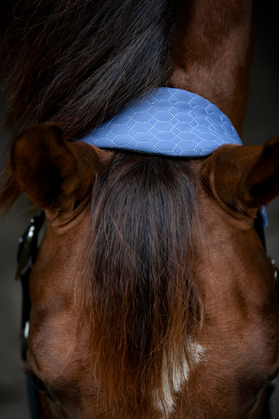 CATAGO FIR-Tech Grand halter