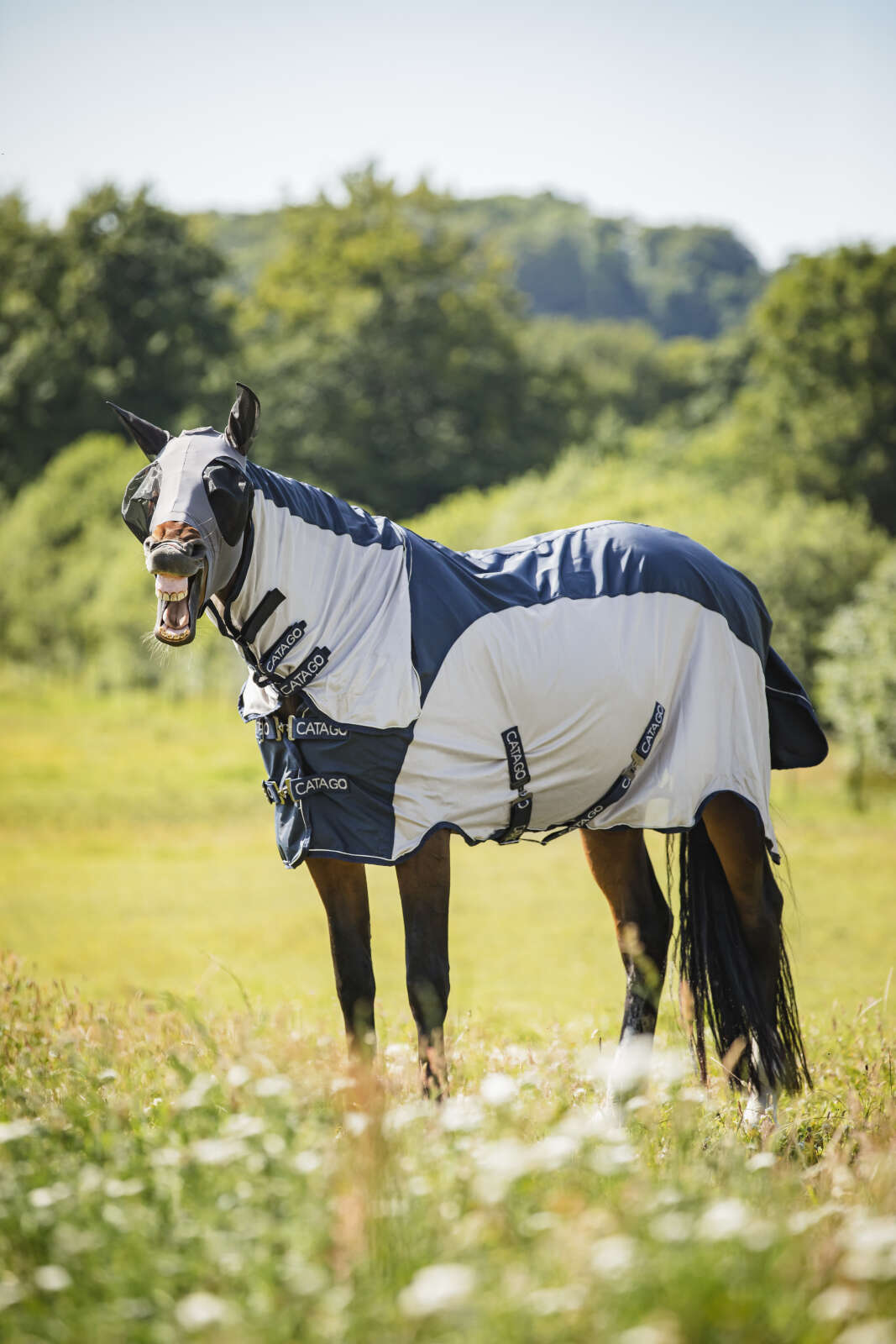CATAGO Taylin Regn- og Insektdækken