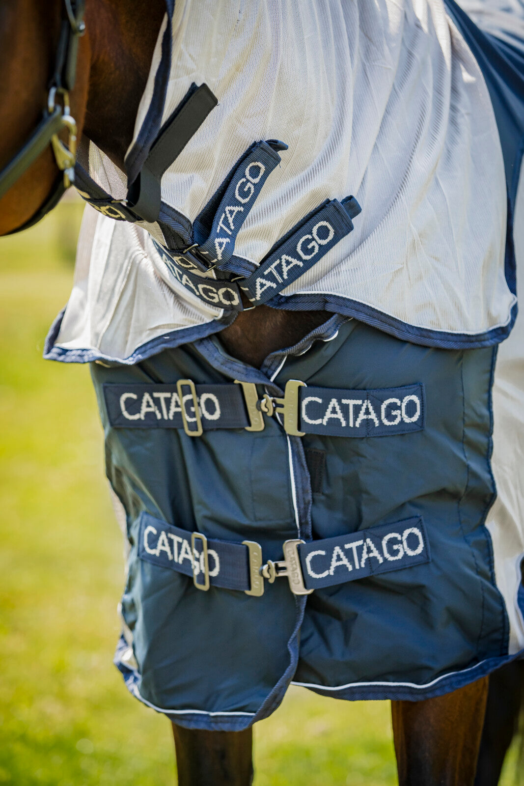CATAGO Taylin Regen und  Fliegendecke