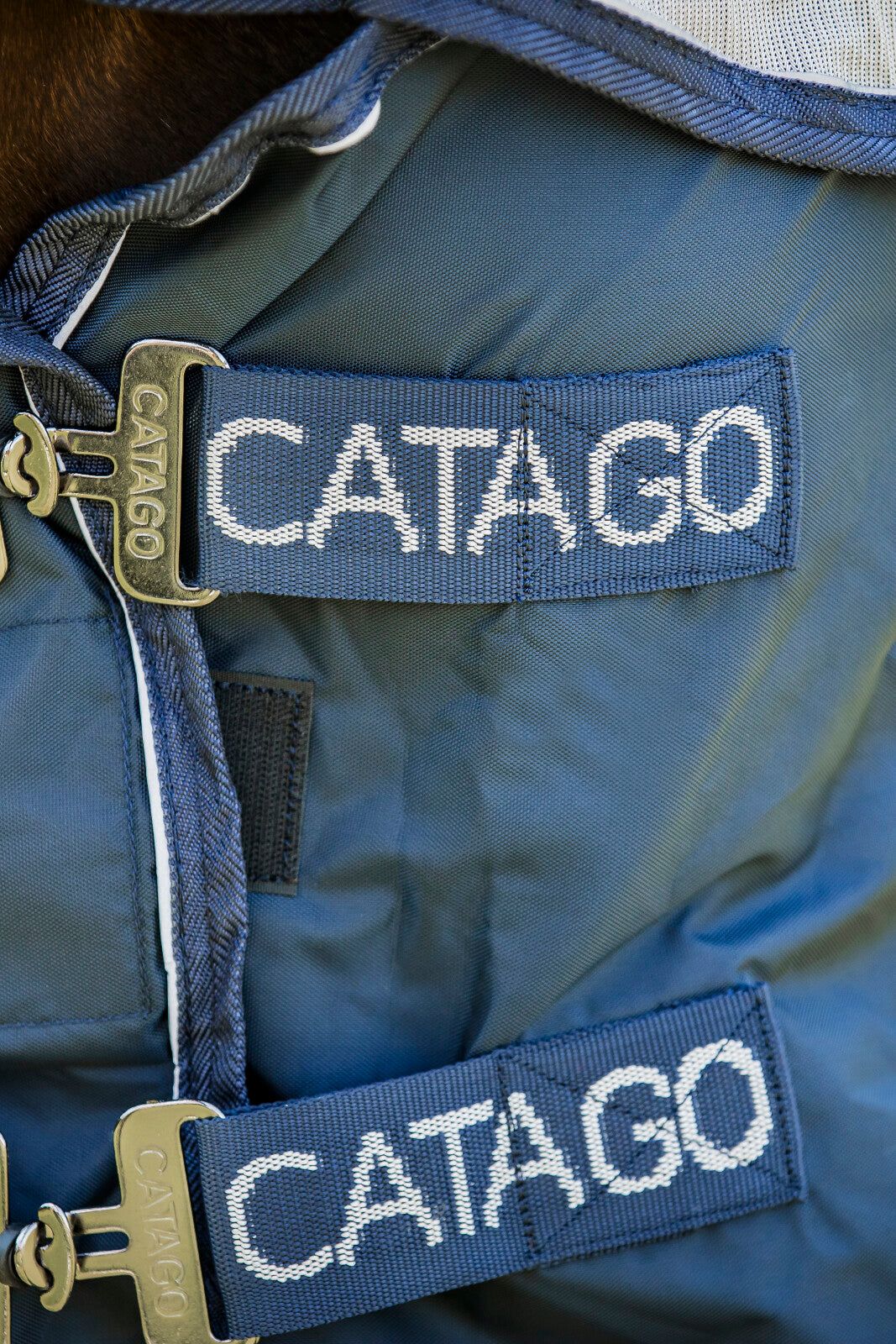 CATAGO Taylin Regen und  Fliegendecke