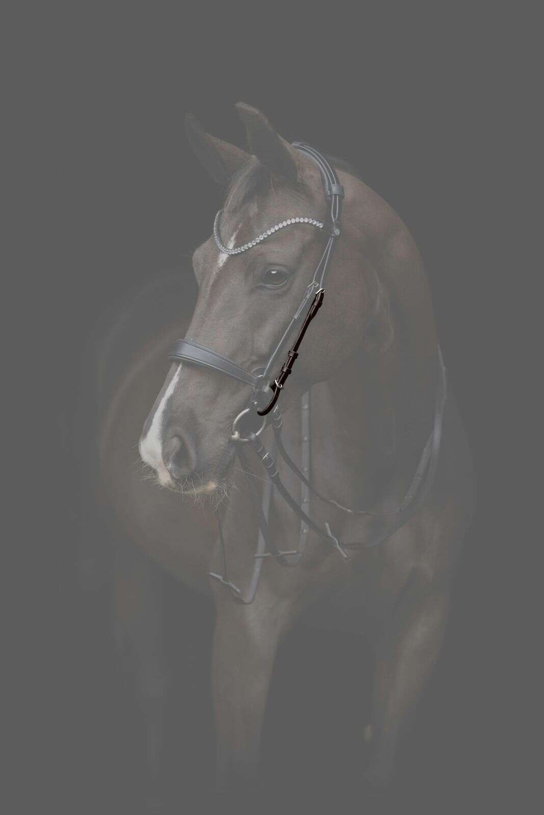 Catago Gentle-kindstykker (par)