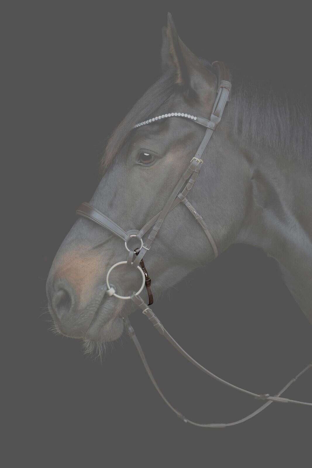 Catago Gentle-næserem