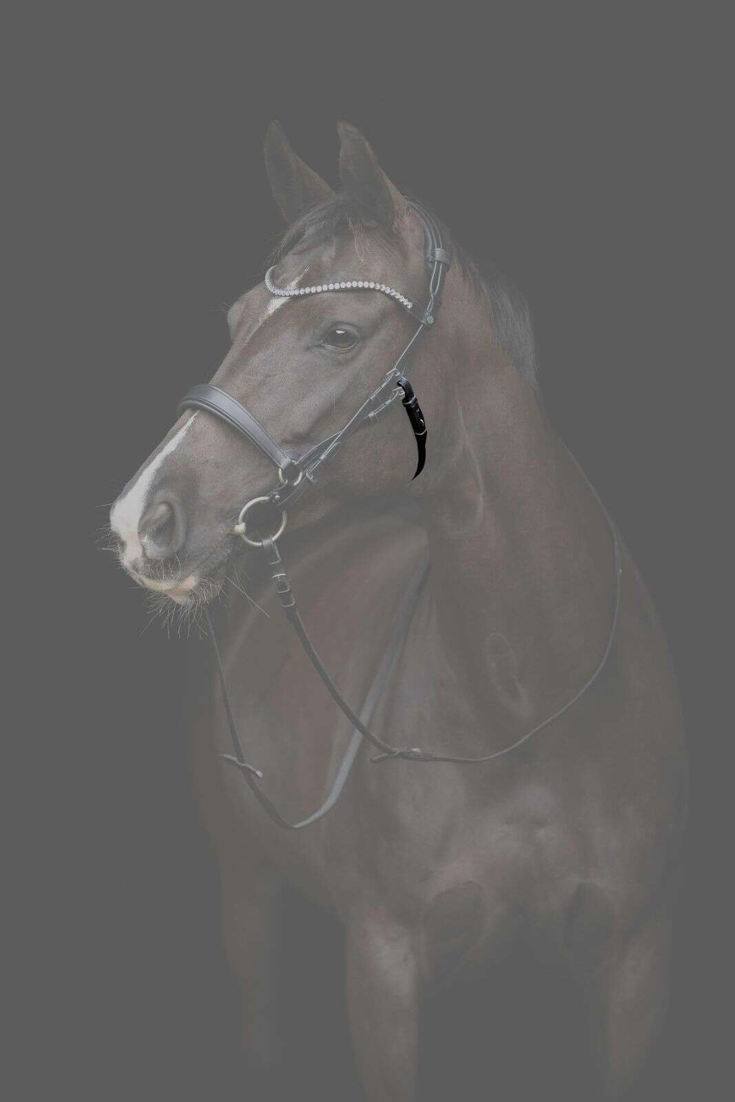 Catago Gentle throat latch