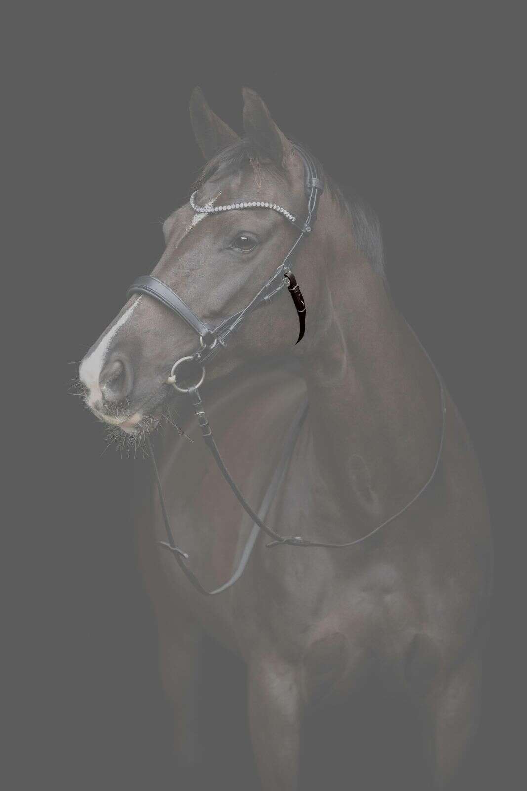 Catago Gentle-kæberem