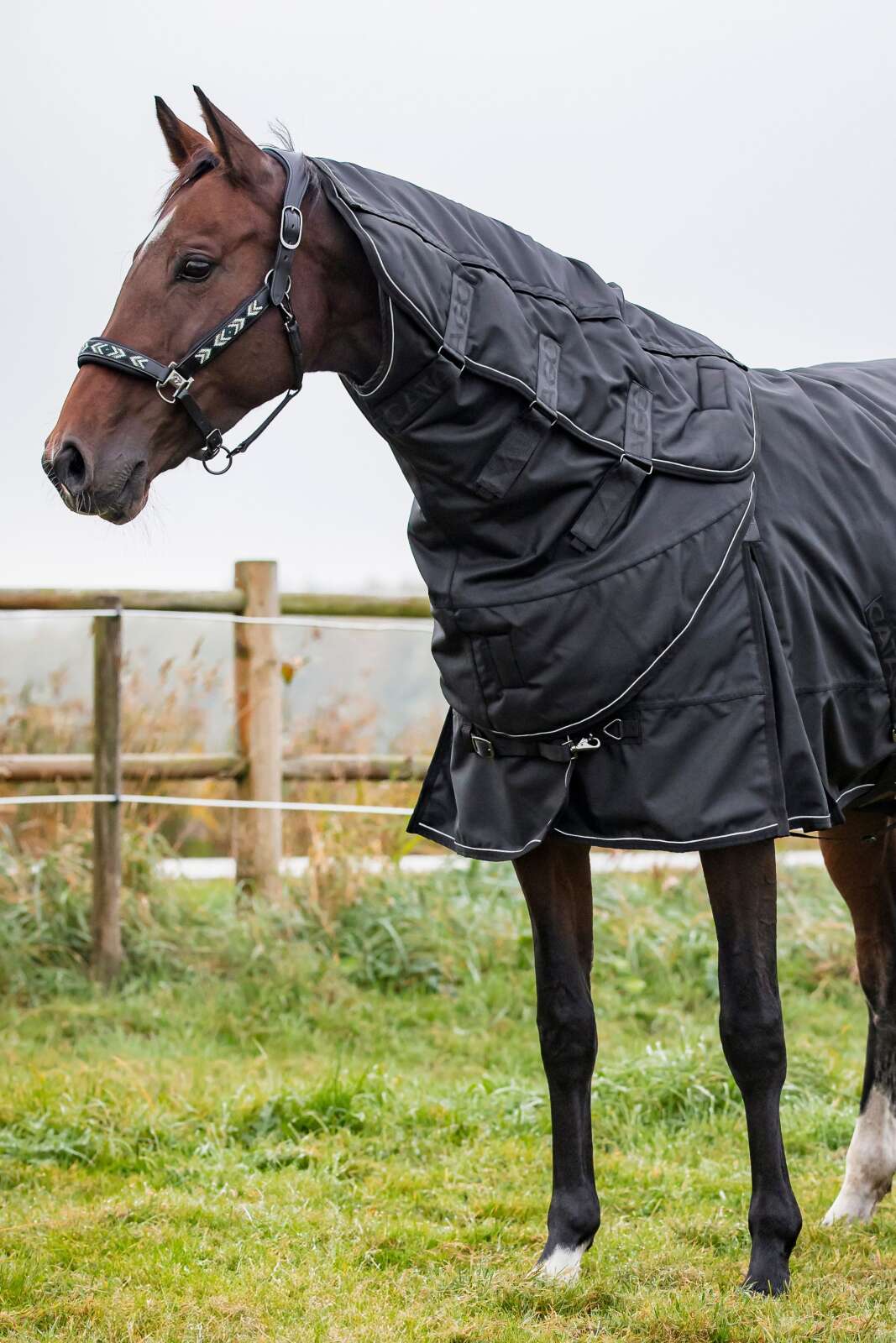 CATAGO Endurance 2.0 Halsdel, 150 g