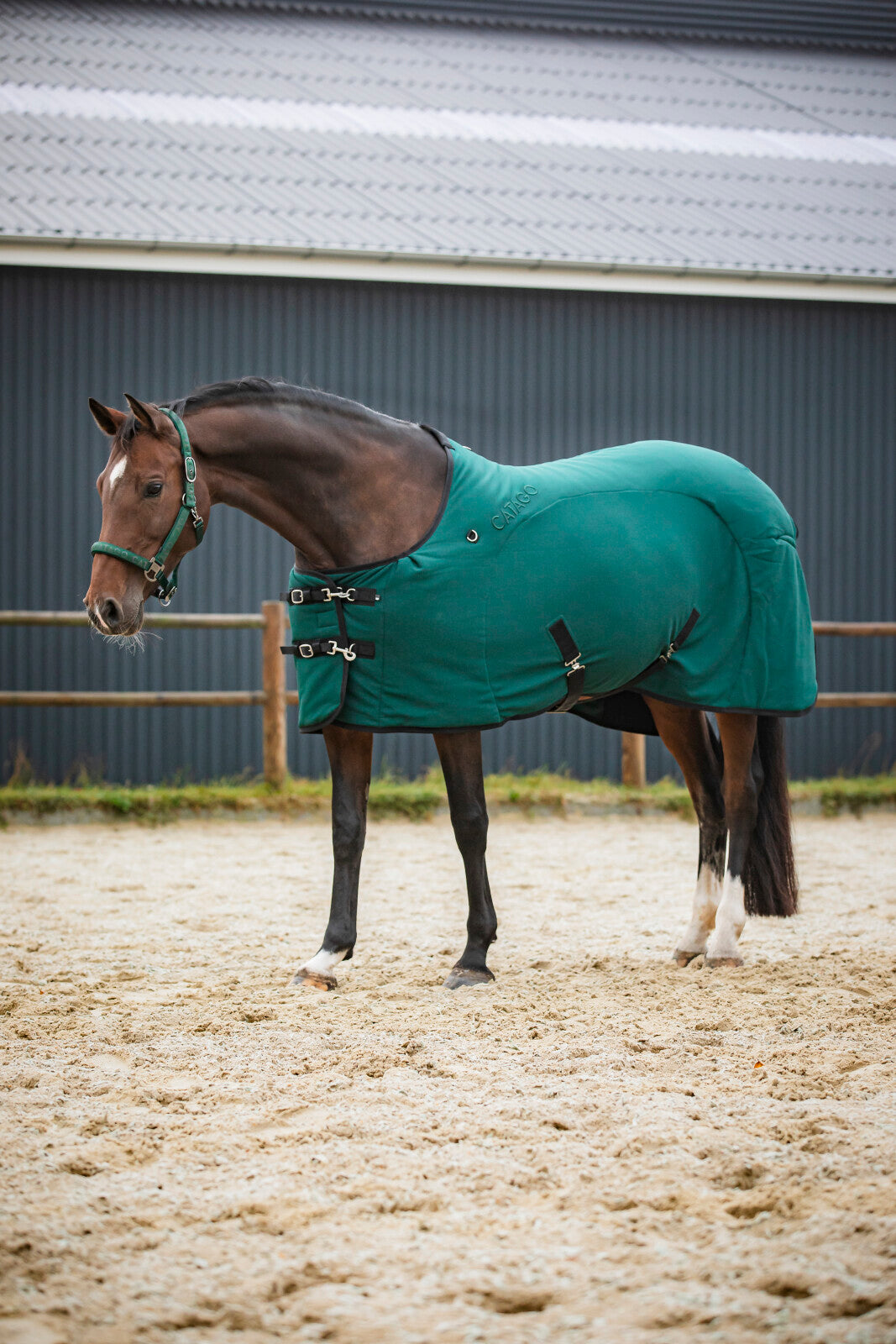 CATAGO FIR-Tech Rug