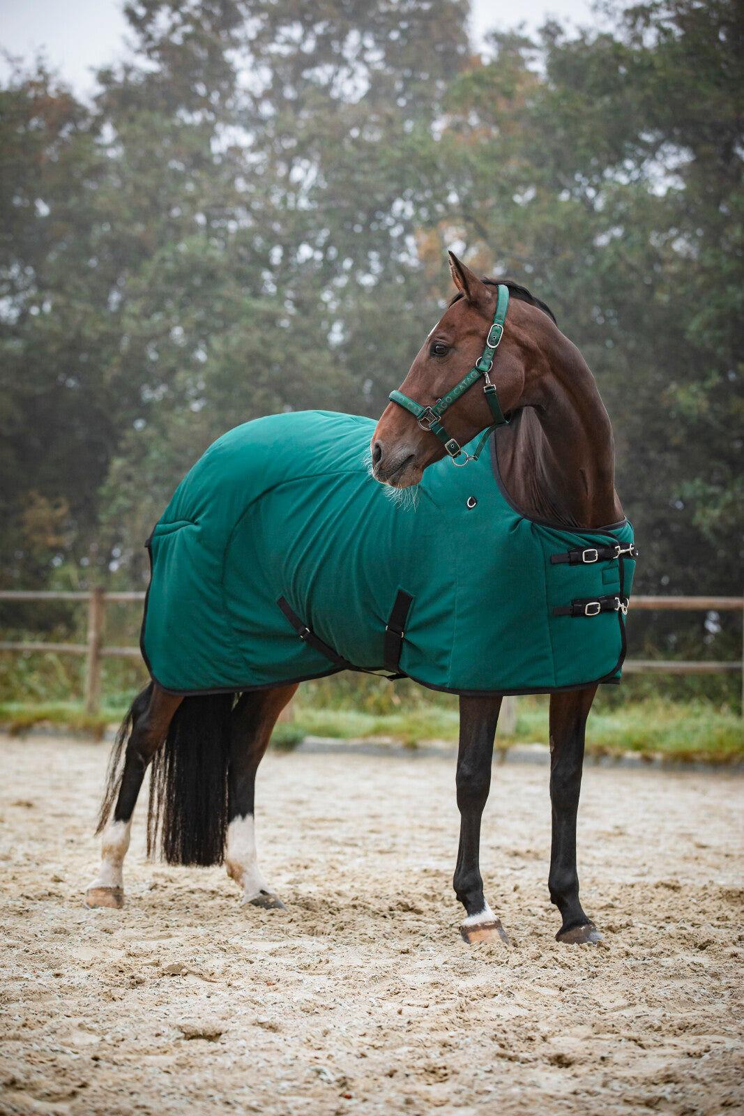 CATAGO FIR-Tech Rug