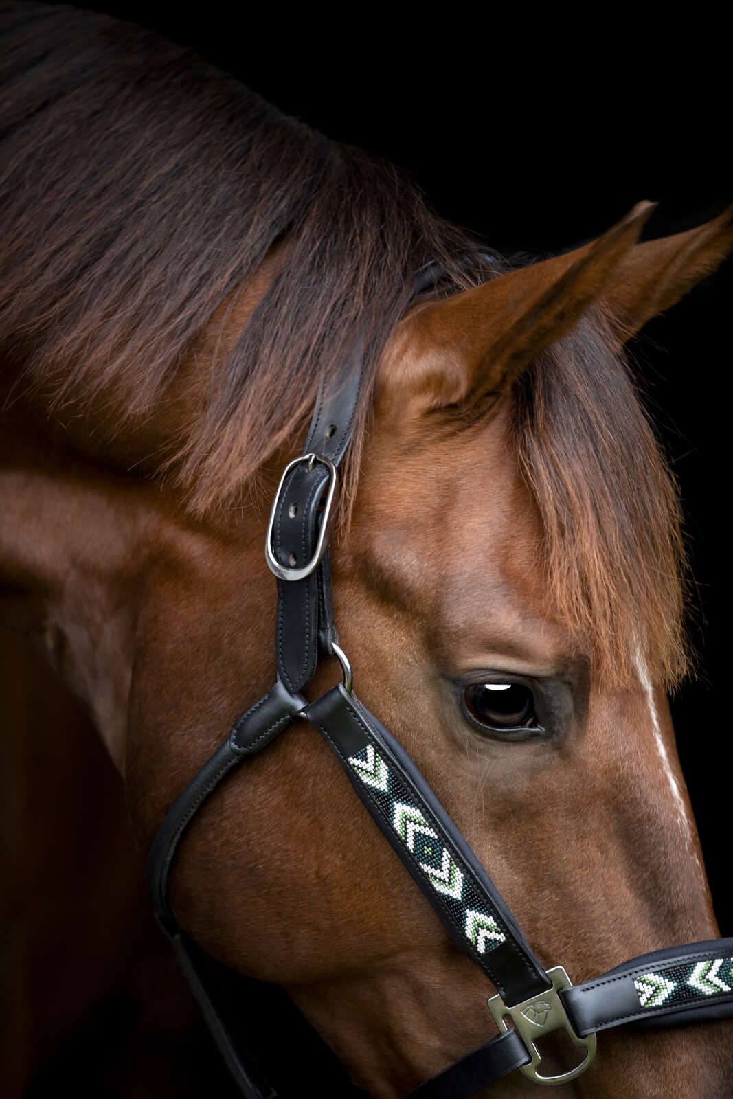 CATAGO Vanamo lædergrime, perlemønster