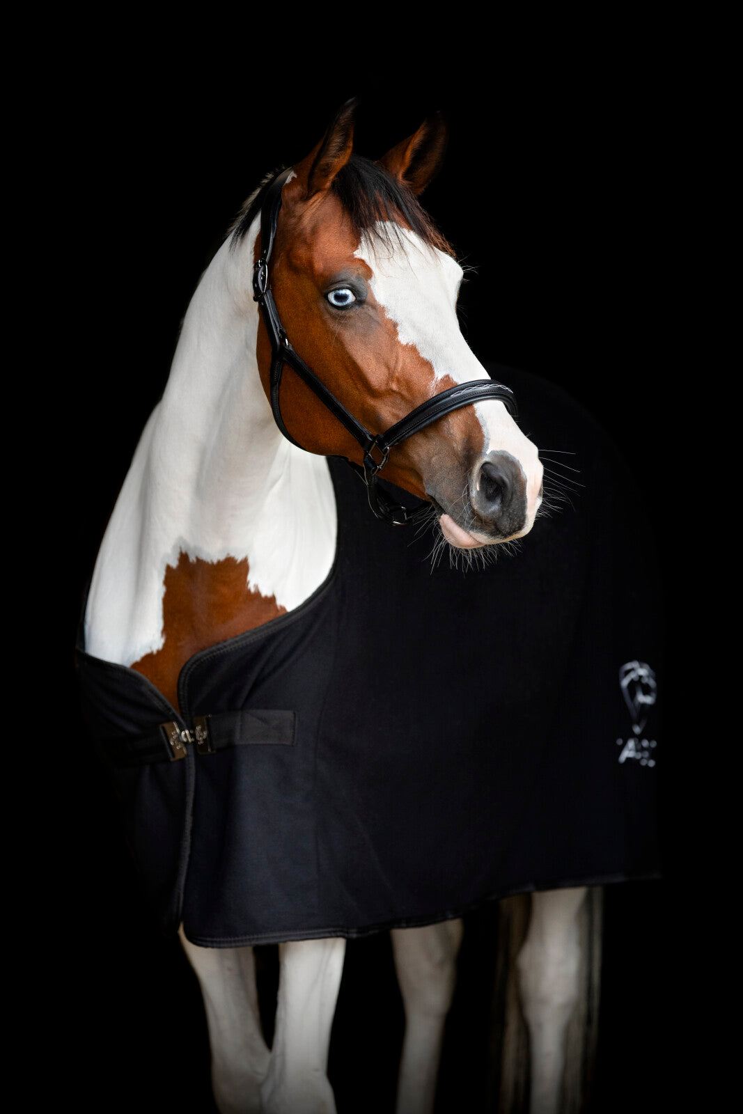 CATAGO Novi 25.2 leather halter