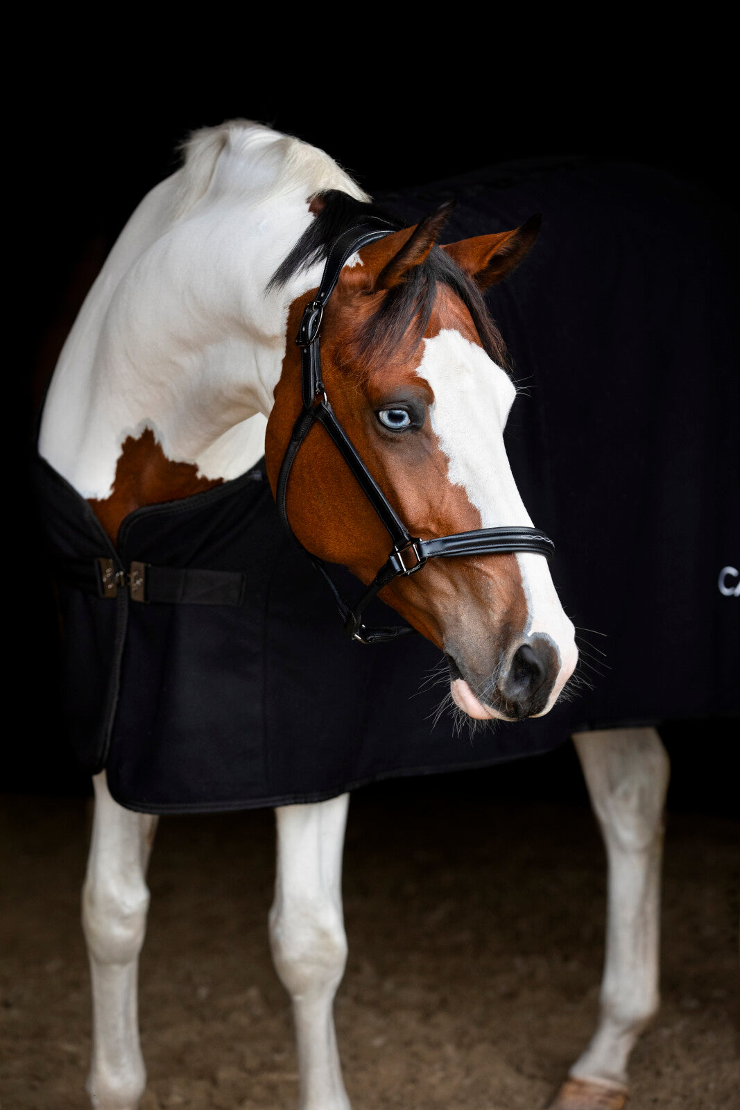 CATAGO Novi 25.2 leather halter