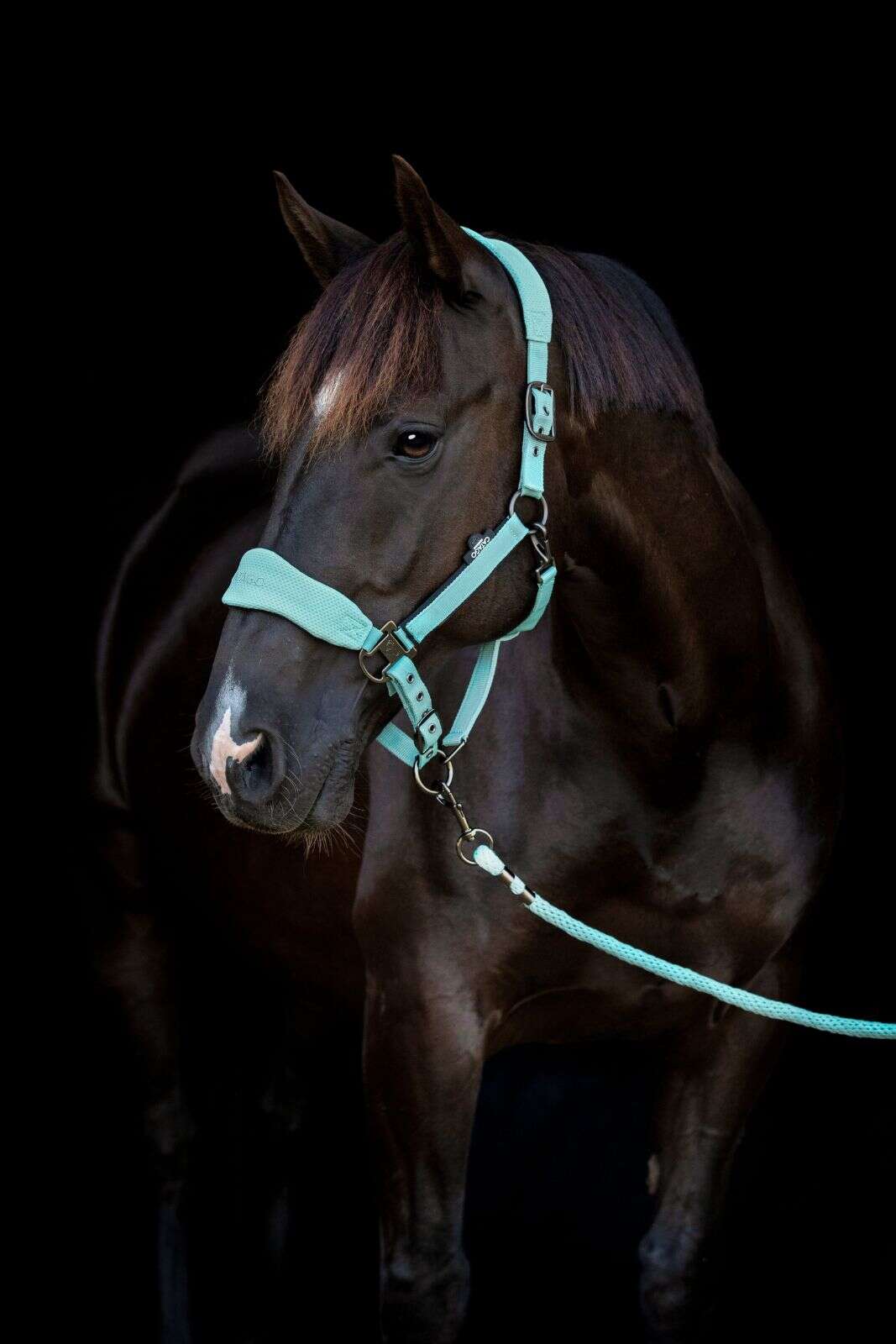 Catago FIR-Tech halter