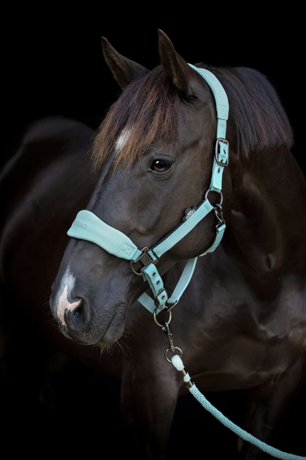 Catago FIR-Tech halter