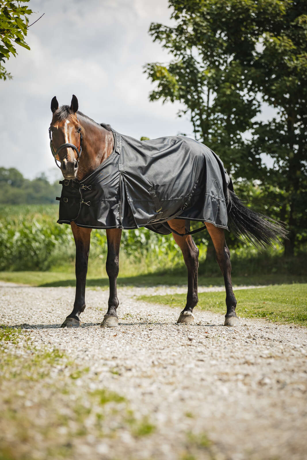 Catago Endurance 2.0 turnout rug 1680D, 0g
