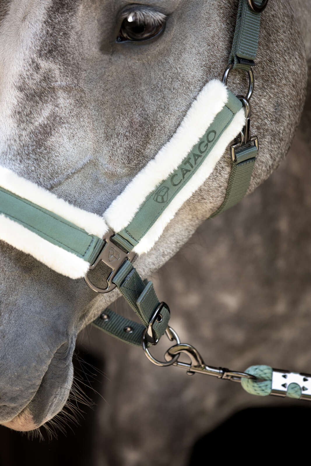 Catago Logi halter