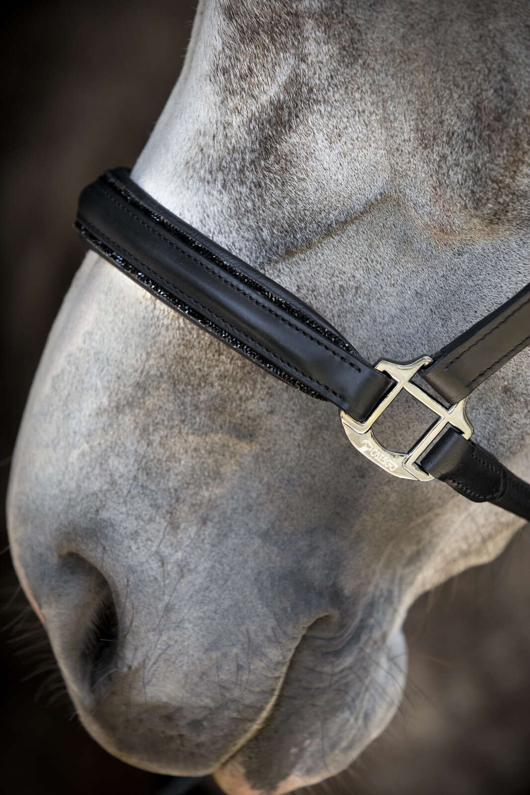 Catago Tori 26.1-lædergrime, glittersten