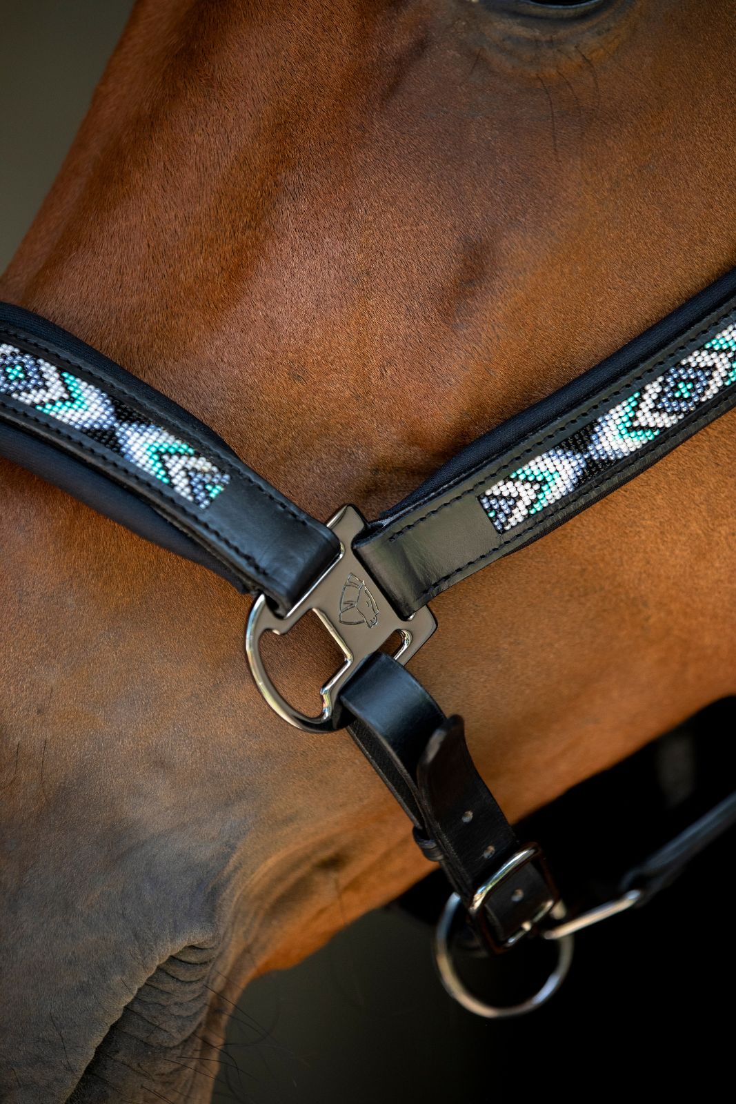 Catago Anamo Halter & Lead Rope Set, Monument