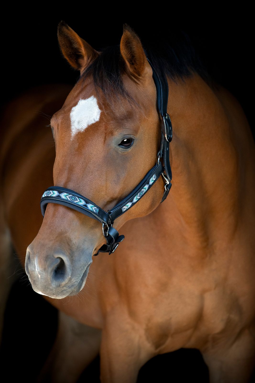 Catago Anamo Halter & Lead Rope Set, Laurel Wreath
