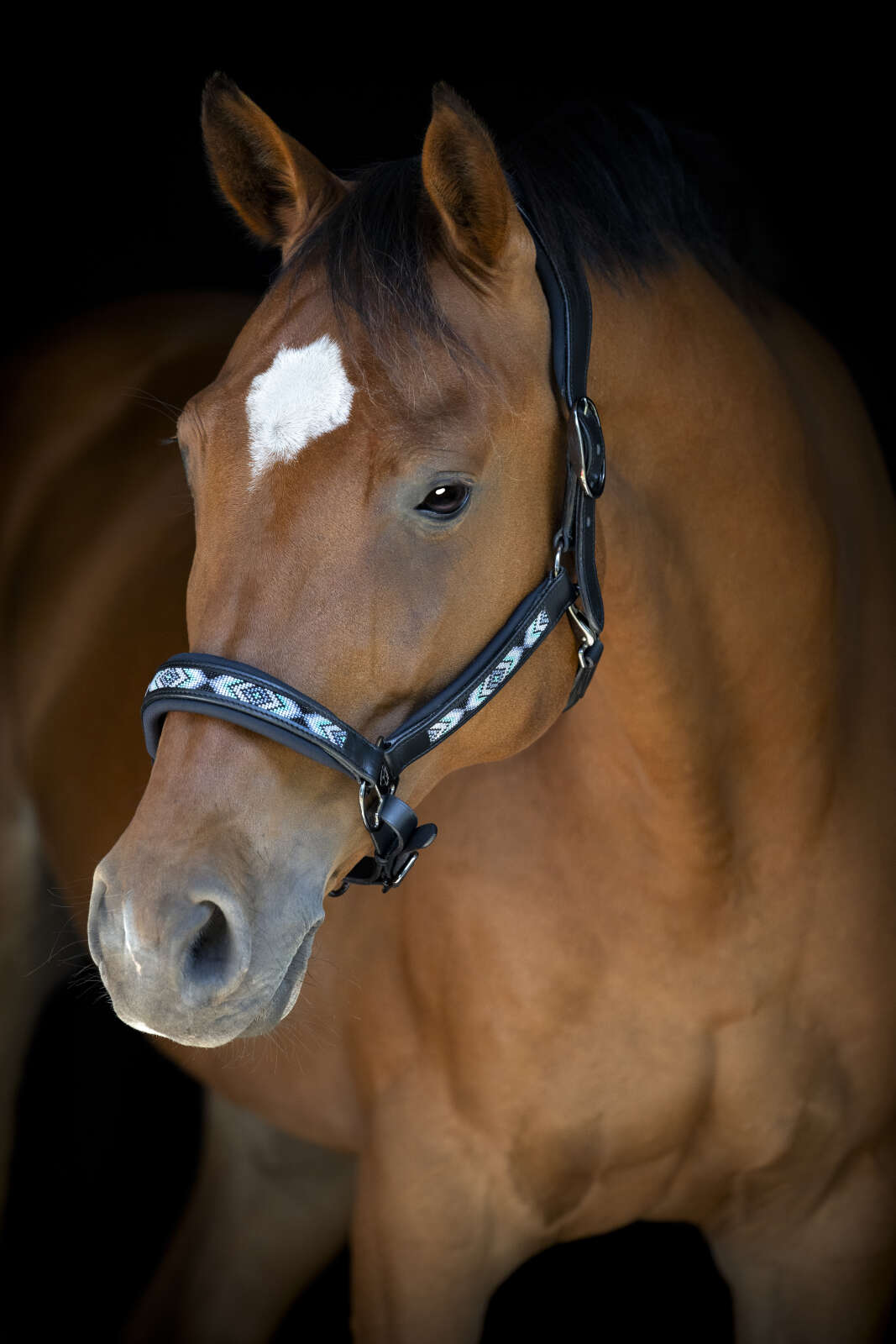 Catago Anamo Lederhalfter