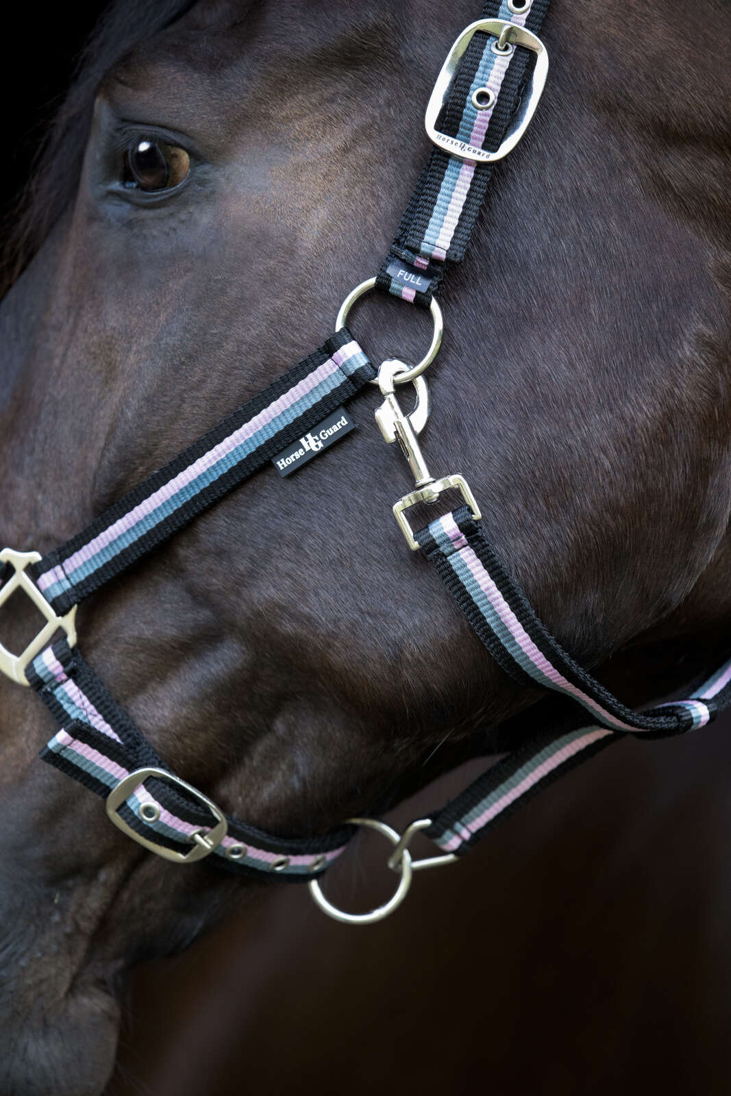 Horse Guard stribed halter