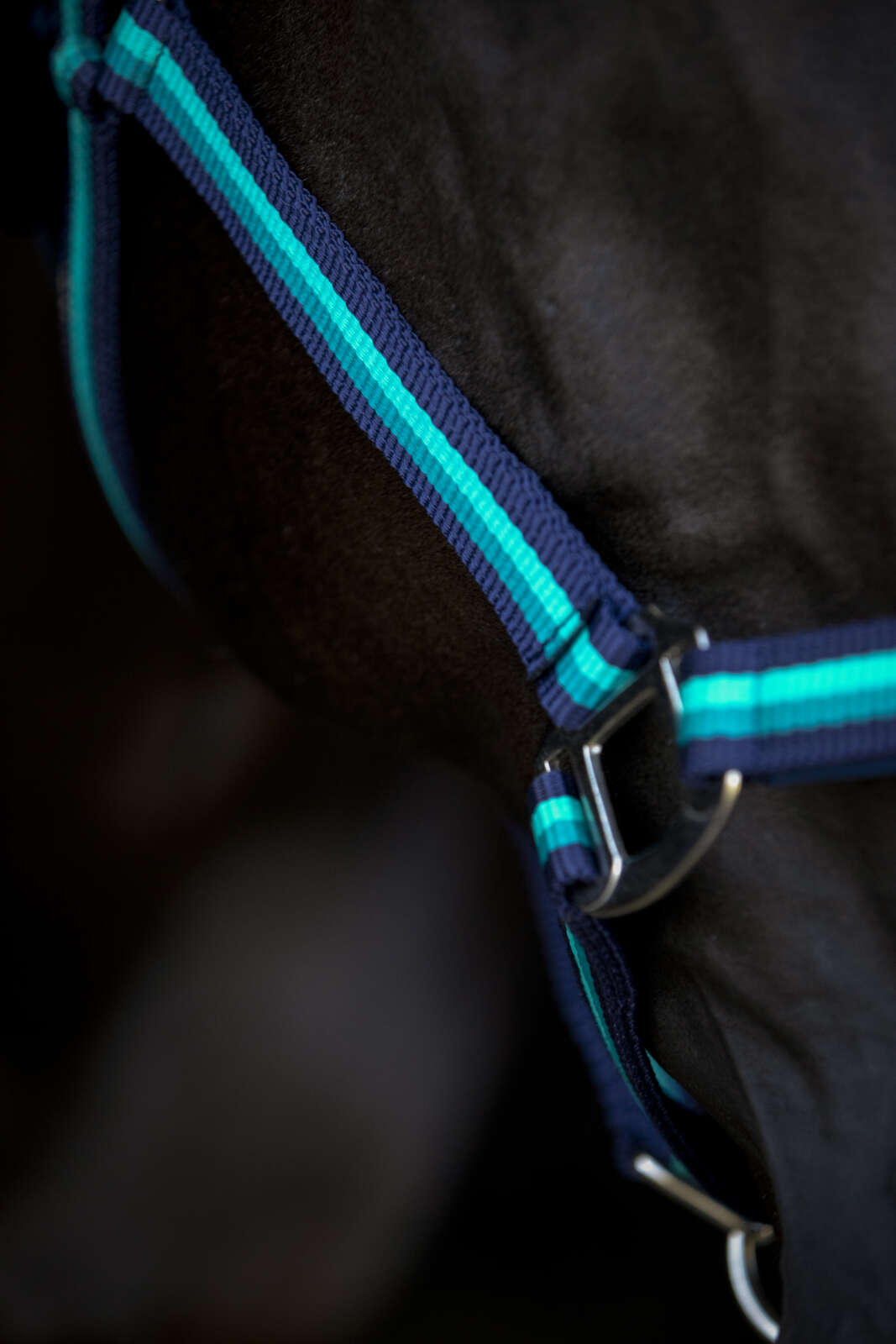Horse Guard stribed halter