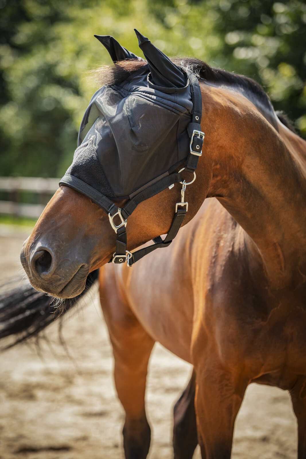 Horse Guard insect halter with mesh