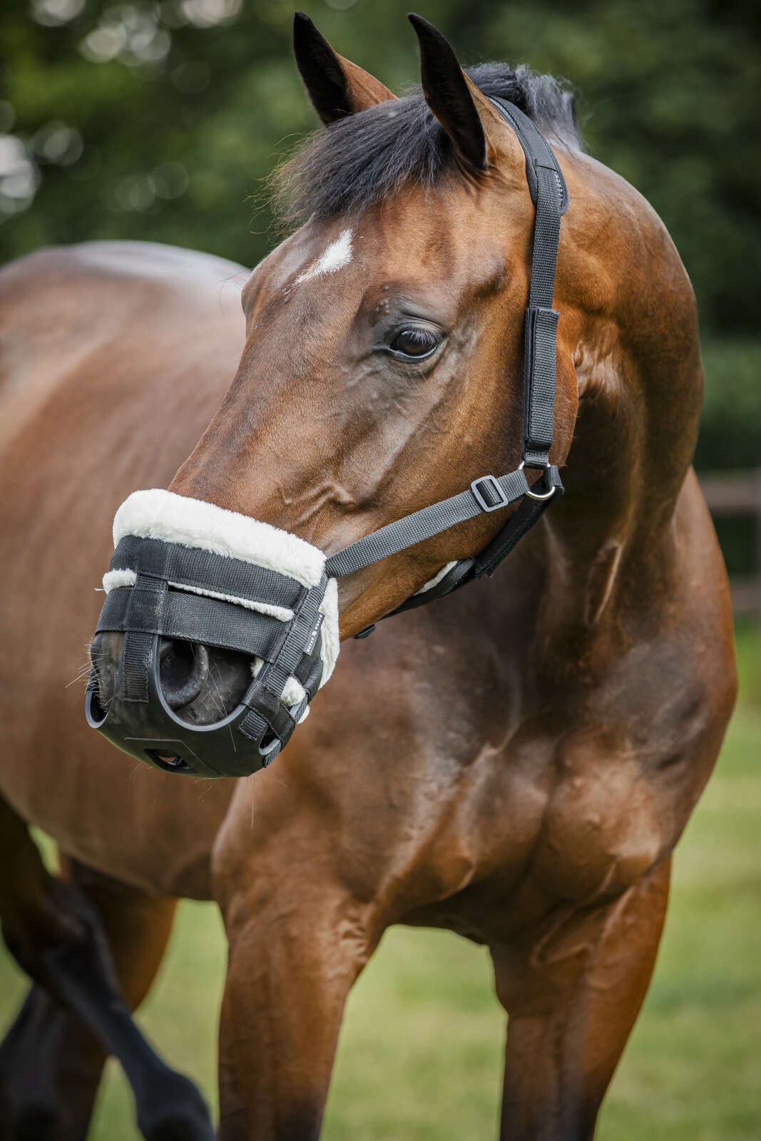 Horse Guard Easy Breathe Grass reducer